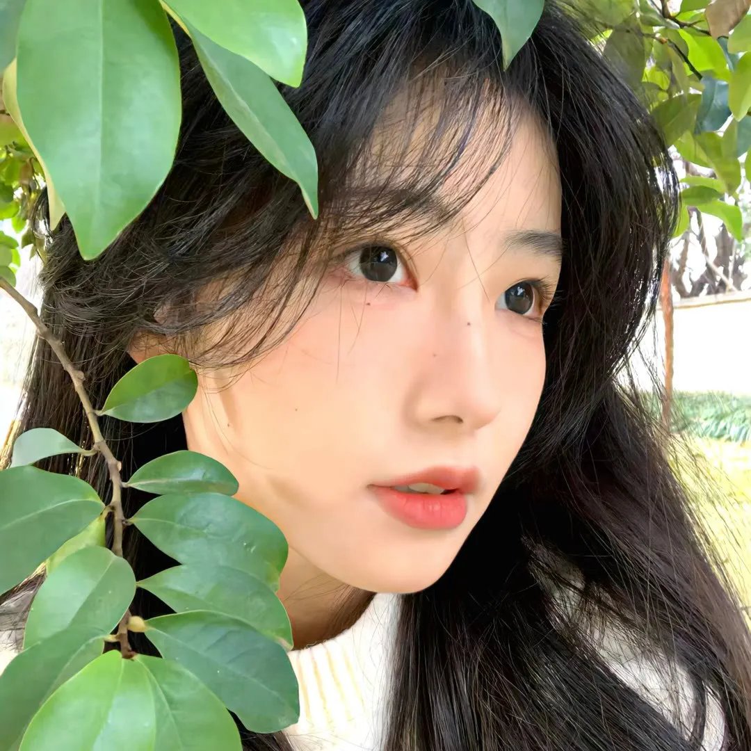美丽陷阱